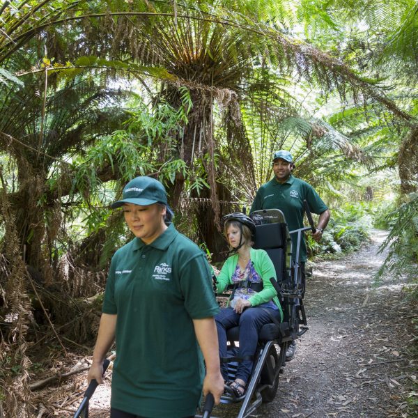 Two Trail Rider Volunteers are assisting a park visitor to explore the Dandenong Ranges using Trail Rider, an all-terrain wheelchair